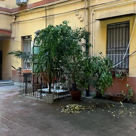 Diego Napoli